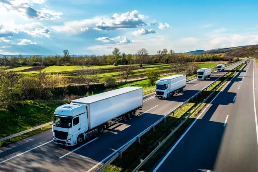 The Benefits Of Hiring Professionals For Long Distance Moves in San Antonio, TX The Benefits Of Hiring Professionals For Long Distance Moves in San Antonio, TX
